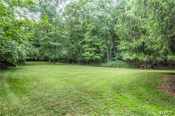 1156 Briar Patch Road Ellisville, MO 63021 - Photo 10 of 33 Gallery Image 10