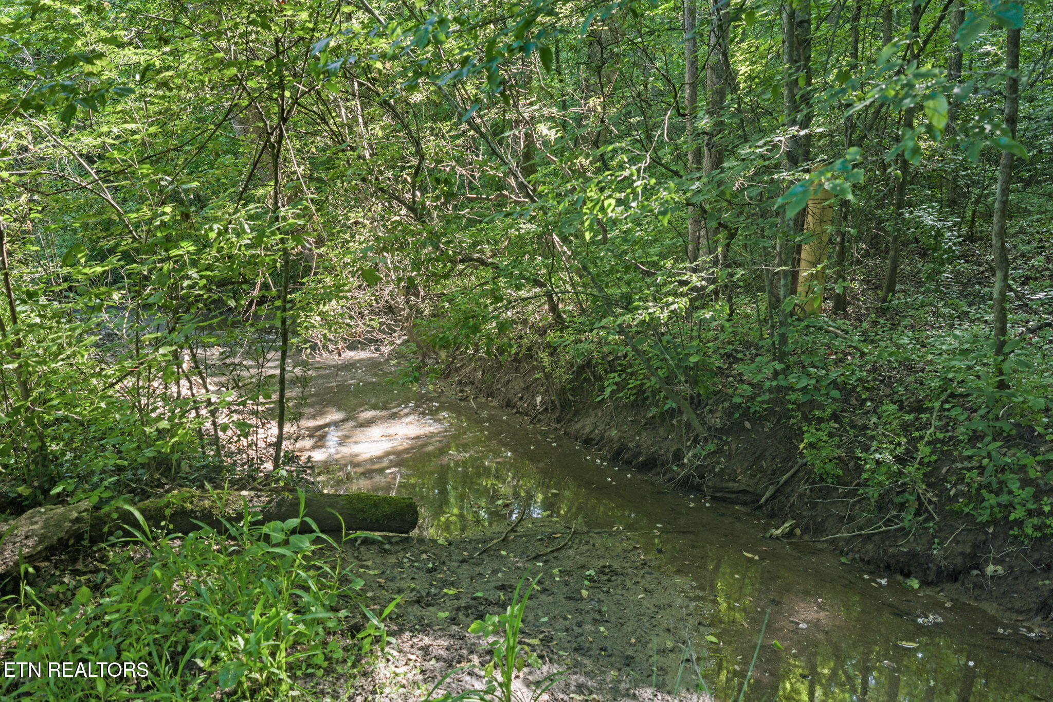 369 Back Valley Road Oliver Springs, TN 37840 - Photo 10 of 27 27-web-or-mls-369 Back Valley--28