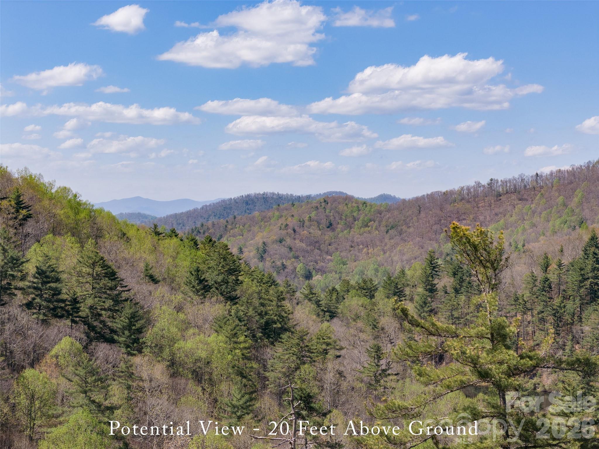 4419 Flat Mountain Road Highlands, NC 28741 - Photo 14 of 17