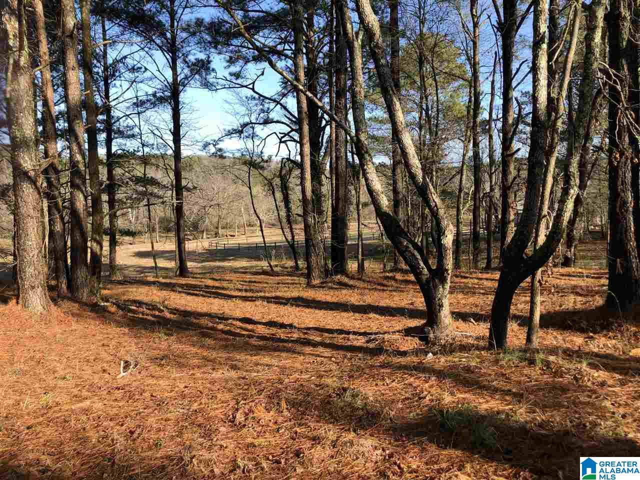 7950 Happy Hollow Road, Unit 2 Trussville, AL 35173 - Photo 6 of 12
