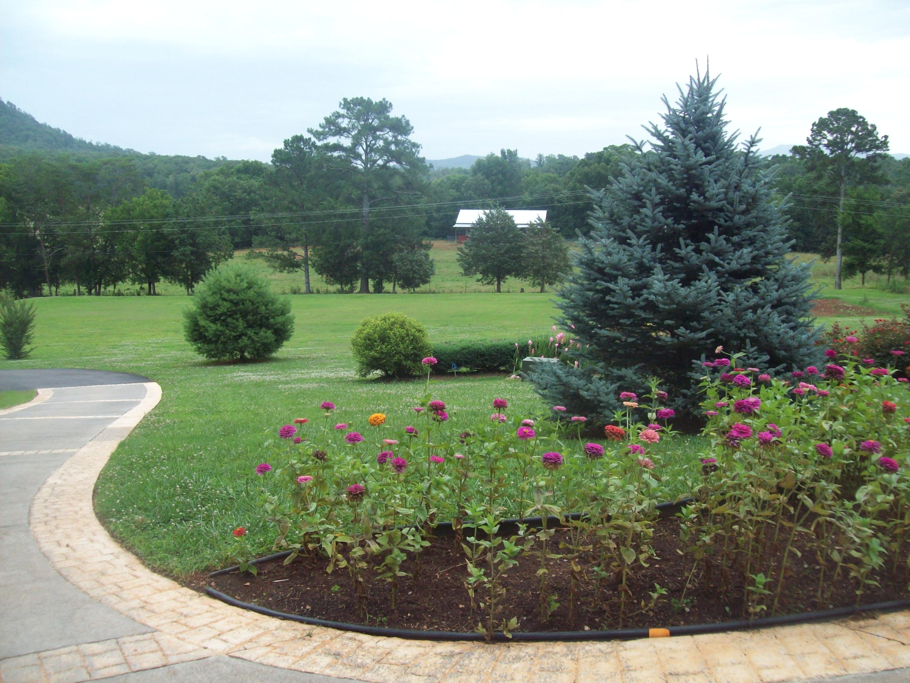 118 Bullens Road Ocoee, TN 37361 - Photo 8 of 28 100_8542 - Copy (2)