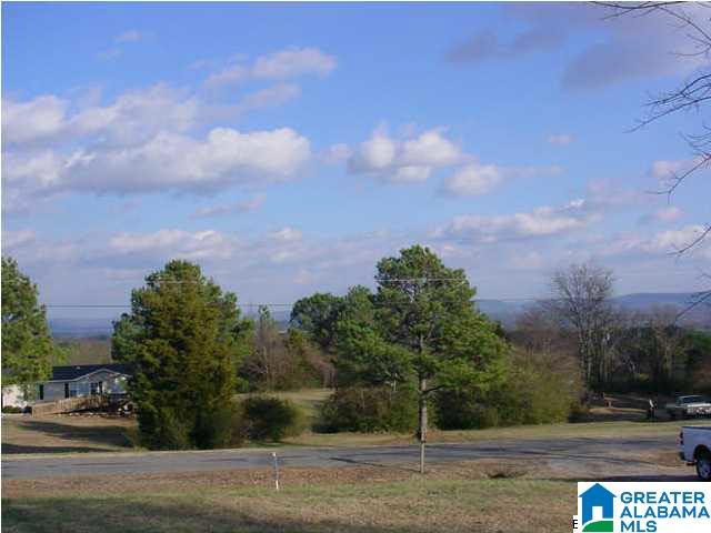 345 Wet Cat Road Hayden, AL 35079 - Photo 13 of 30