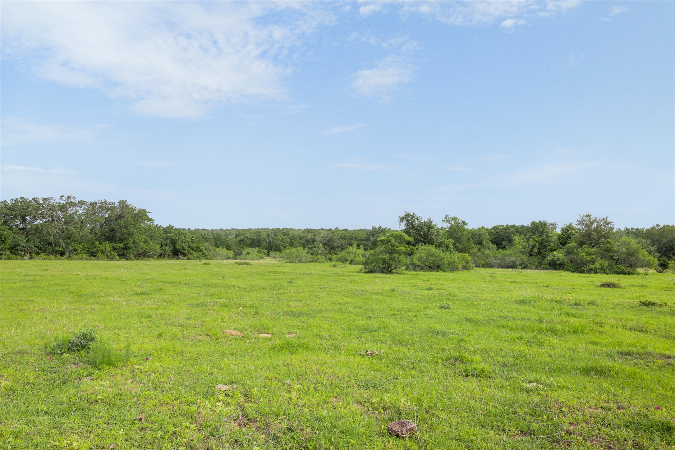 459 County Road 459 Road Thorndale, TX 76577 - Photo 8 of 35 a view of an ocean