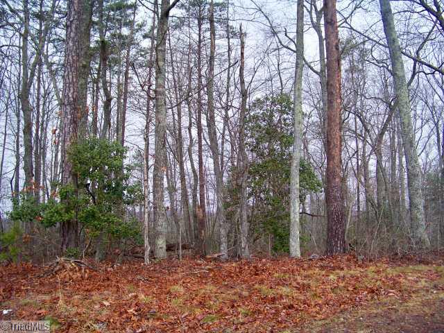 . Inman Road Mount Airy, NC 27030 - Photo 1 of 3 Land/Lot.