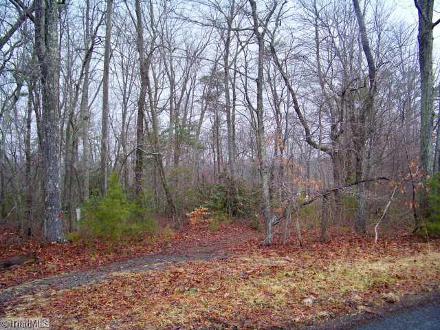 . Inman Road Mount Airy, NC 27030 - Photo 2 of 3 Land/Lot.