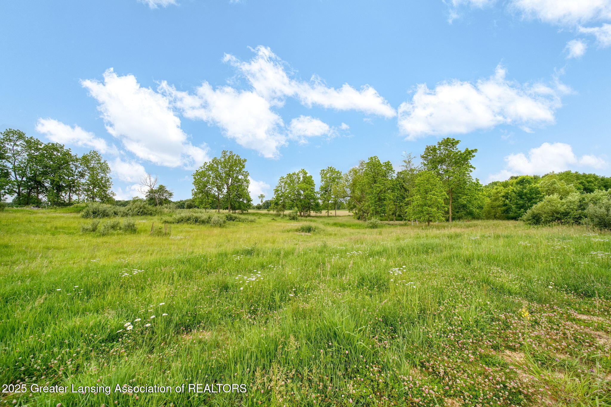 7275 Winegar Road Perry, MI 48872 - Photo 8 of 24 48-web-or-mls-DSC03768_HDR