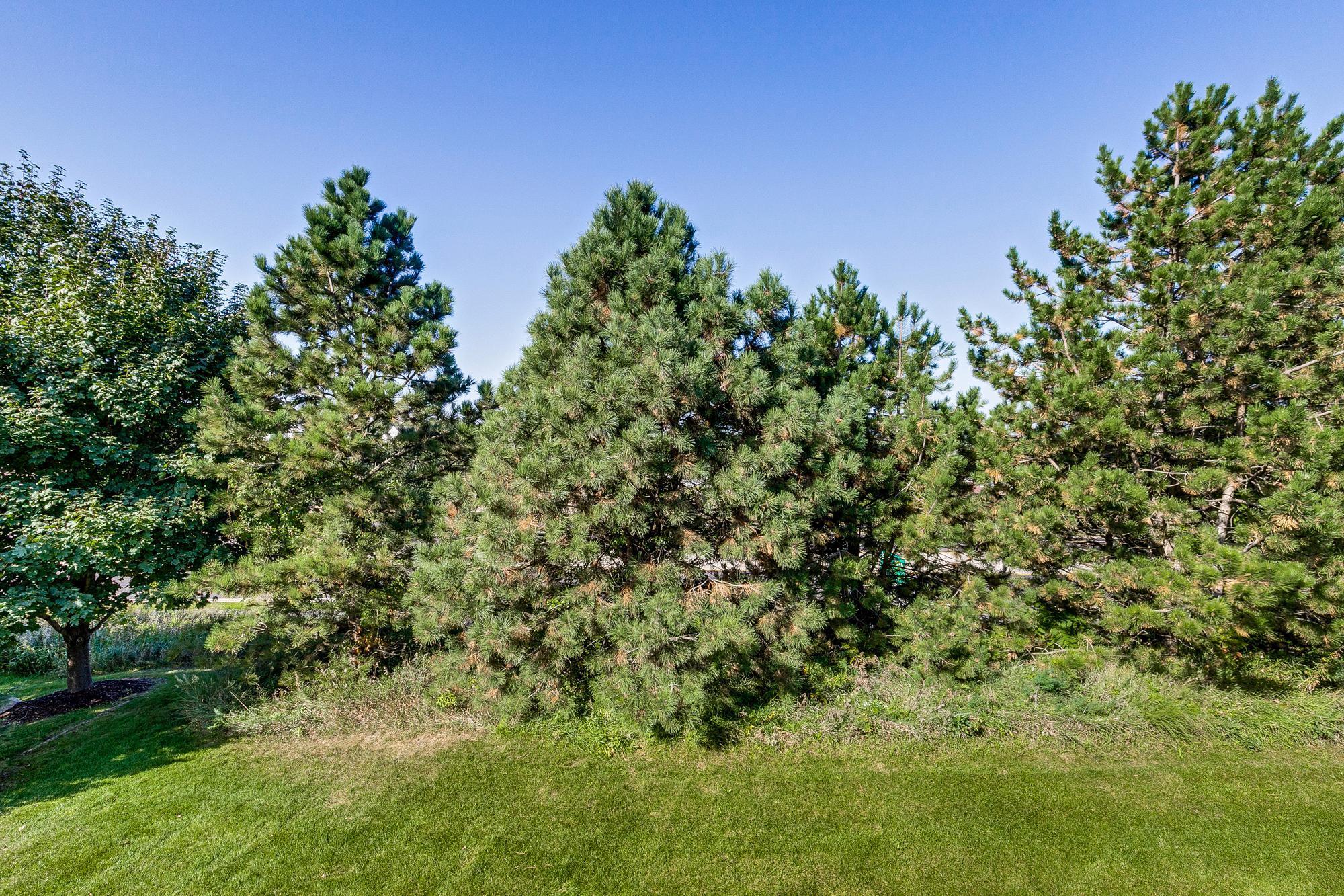 2576 Waterfall Way Northwest Prior Lake, MN 55372 - Photo 26 of 29