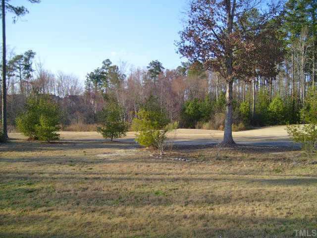 2352 Persimmon Ridge Drive Raleigh, NC 27604 - Photo 3 of 12 a view of backyard with tree