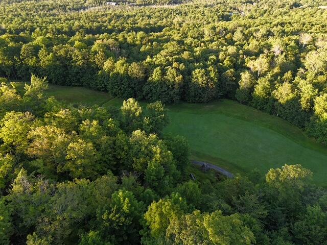 6099 Village On The Green Road Carrabassett Valley, ME 04947 - Photo 2 of 15 Aerial 2