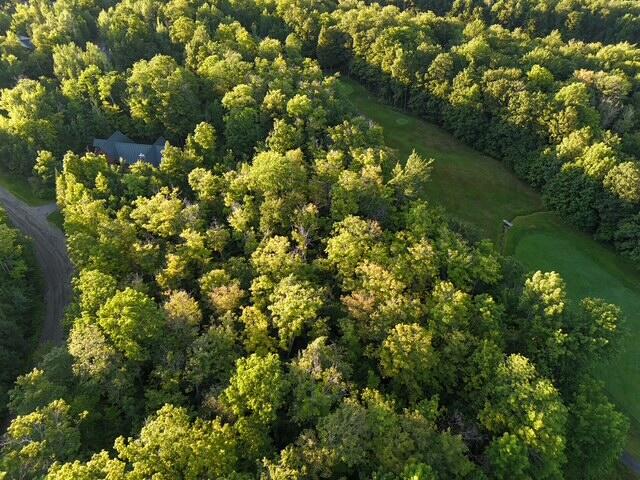 6099 Village On The Green Road Carrabassett Valley, ME 04947 - Photo 9 of 15 Aerial 4
