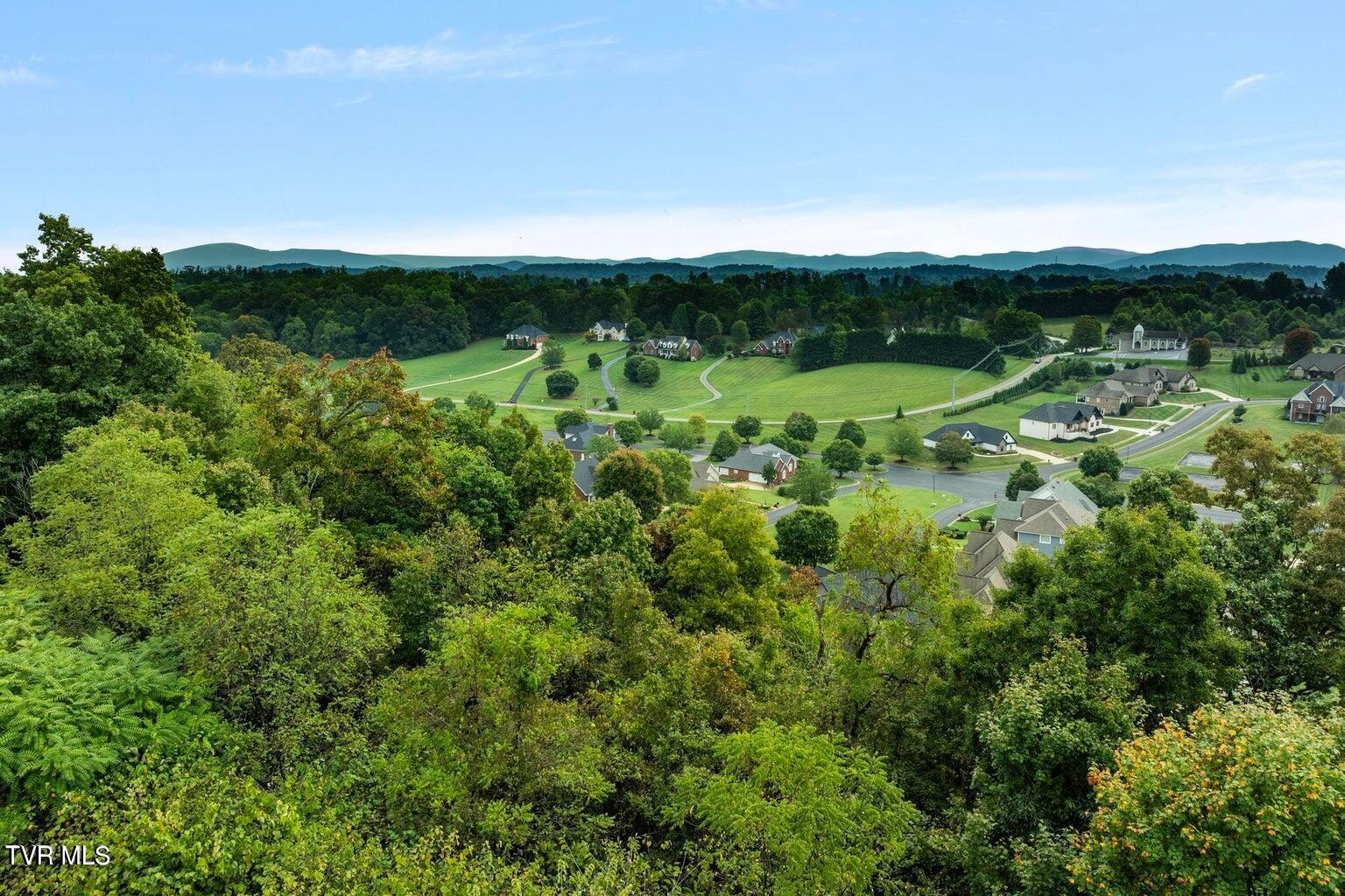 Lot 91-92 Ridgetop Drive Johnson City, TN 37615 - Photo 5 of 11 View