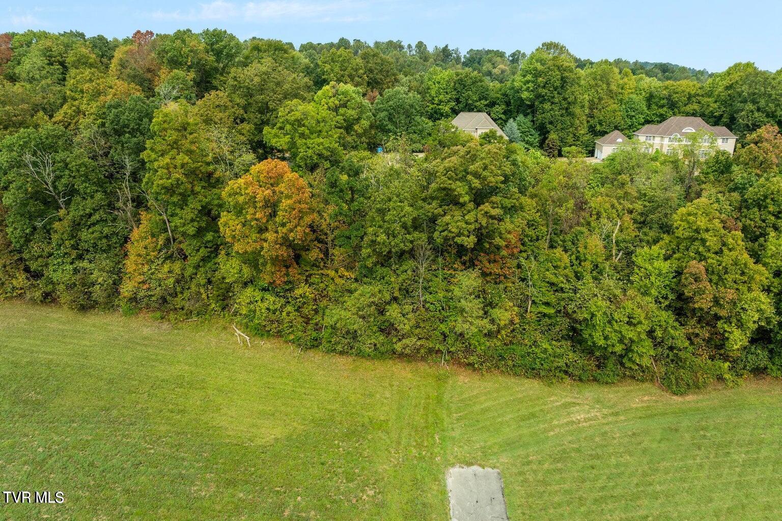 Lot 91-92 Ridgetop Drive Johnson City, TN 37615 - Photo 8 of 11 View of lots