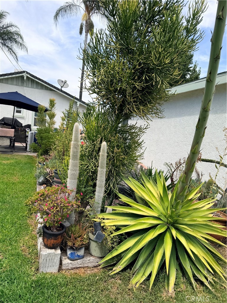 4574 Central Riverside, CA 92506 - Photo 41 of 63 Gallery Image 41