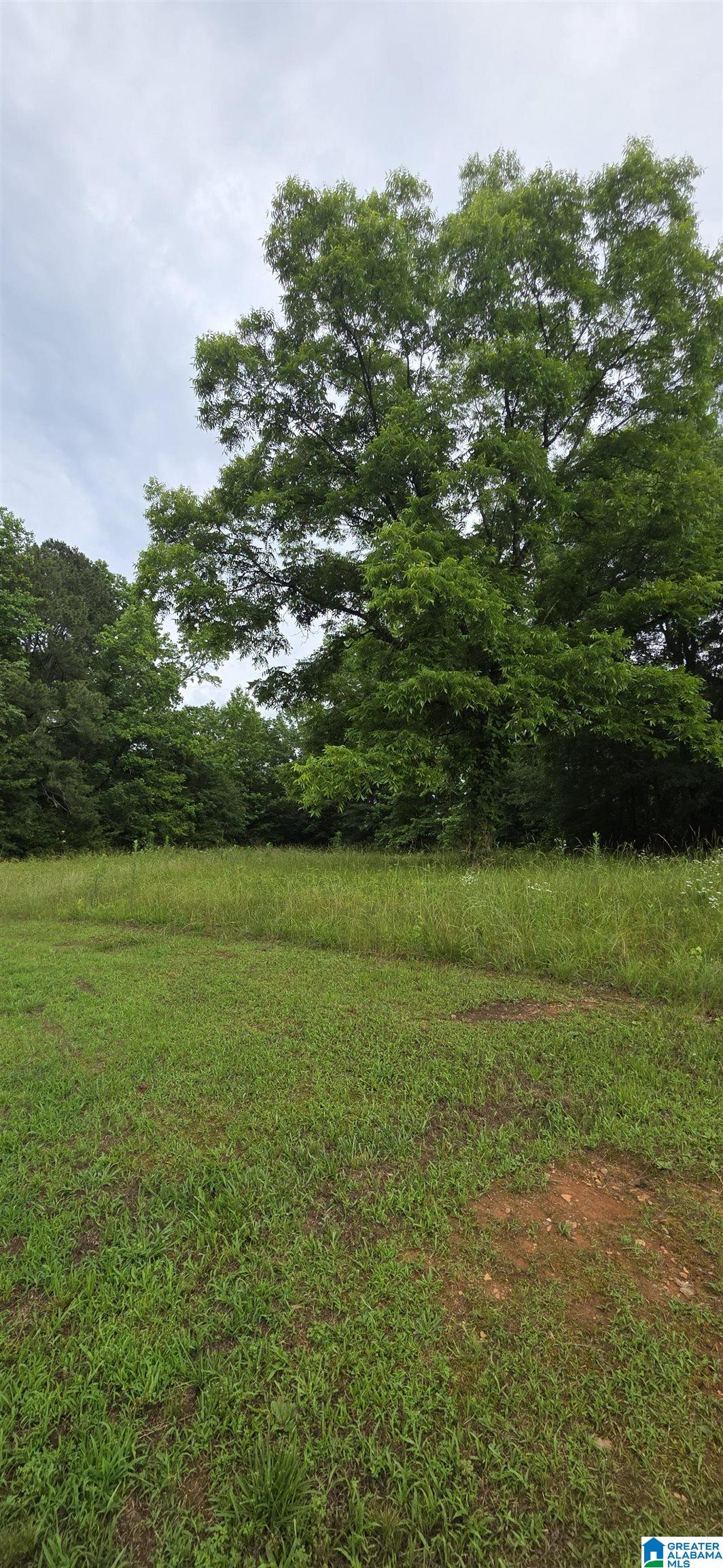 18341 Highway 46 Ranburne, AL 36273 - Photo 19 of 47