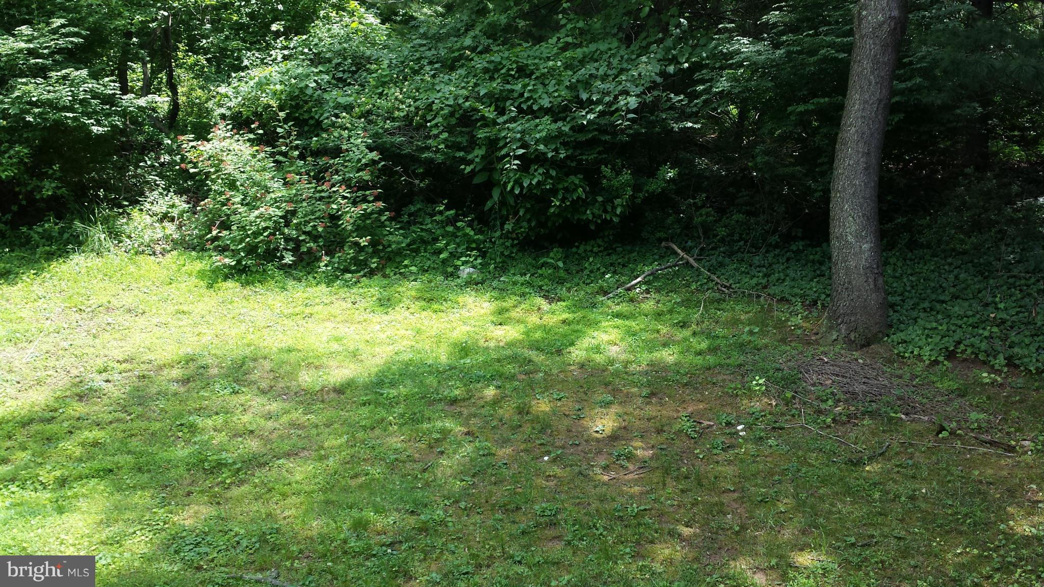 9005 Manchester Road Silver Spring, MD 20901 - Photo 22 of 22 Exterior (Rear)