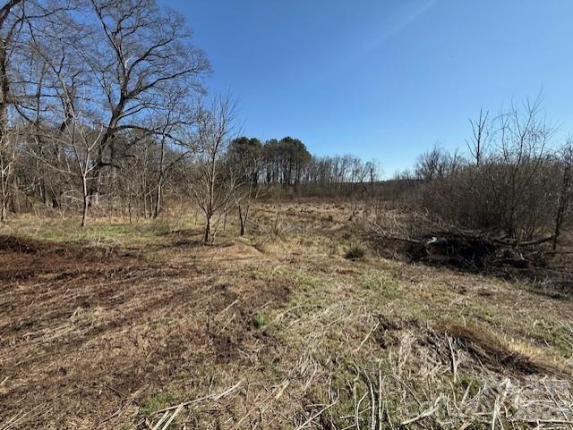 2041 Clyde Street Dallas, NC 28034 - Photo 36 of 46 a view of lake with green space