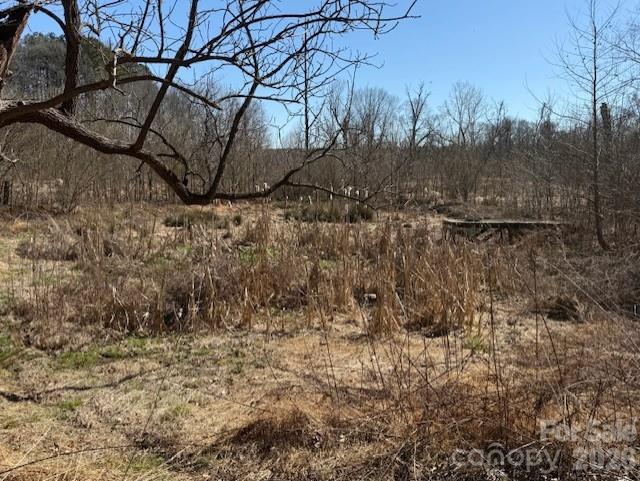 2041 Clyde Street Dallas, NC 28034 - Photo 39 of 46 a view of a backyard of the house