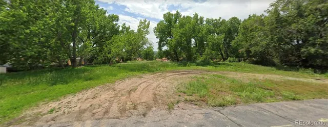 a view of a grassy field with trees