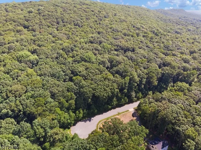 a view of a big yard with plants and large trees