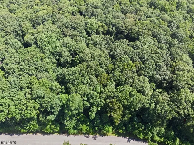 a view of a field with a tree in the background