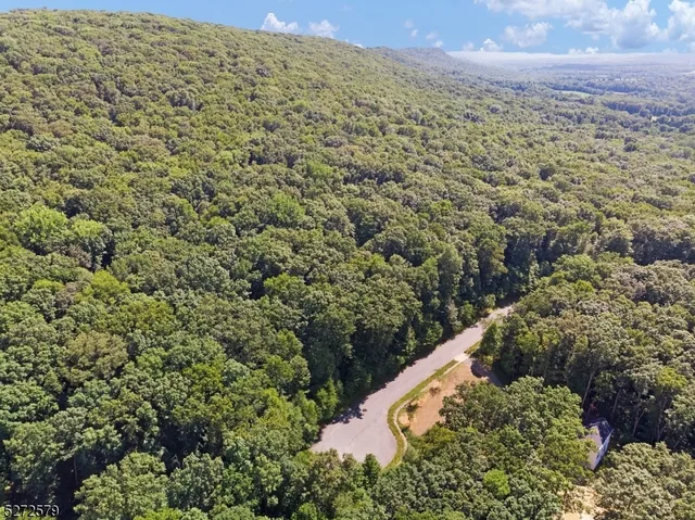 a view of a bunch of trees and bushes
