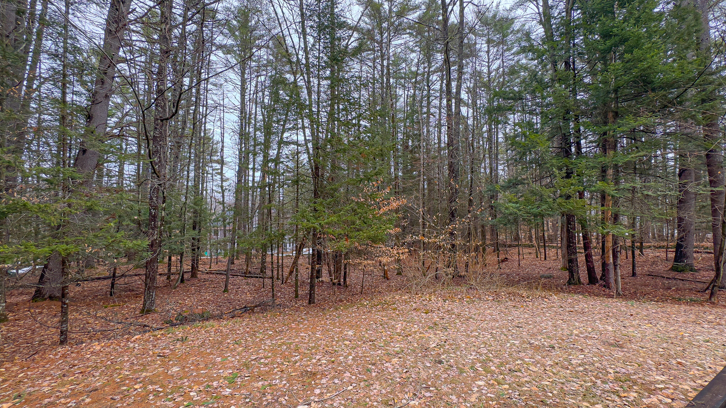 12 Bramble Road Bridgton, ME 04009 - Photo 11 of 52 12 bramble road-18