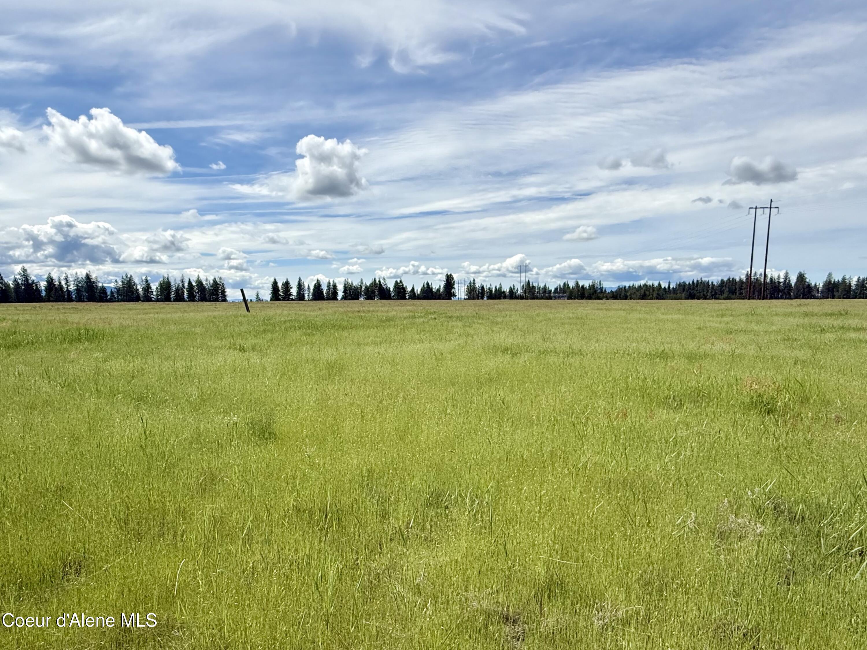 Lot 6 North Stonemason Way Rathdrum, ID 83858 - Photo 4 of 6 Level, usable acreage.
