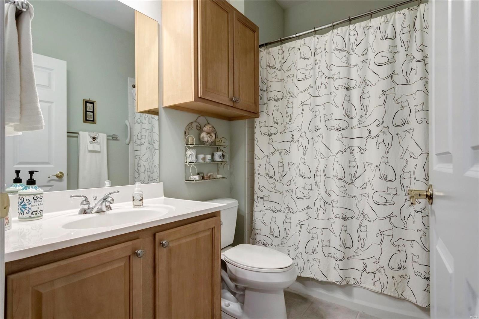 11299 Manchester Road, Unit 1 St. Louis, MO 63122 - Photo 28 of 32 Gallery Image 28