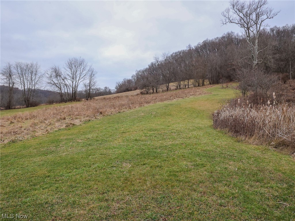 12432 Glasgow Road Southwest Port Washington, OH 43837 - Photo 25 of 31 View of yard with a rural view