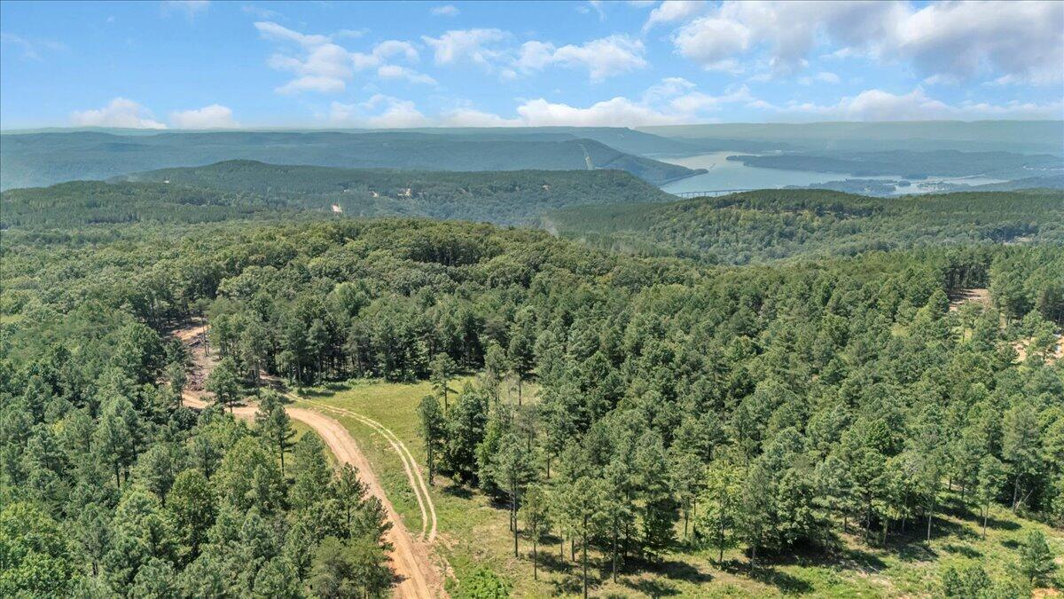 0 Musket Road, Unit 1324 Guild, TN 37340 - Photo 6 of 28 01-DJI_20250819121808_0034_D