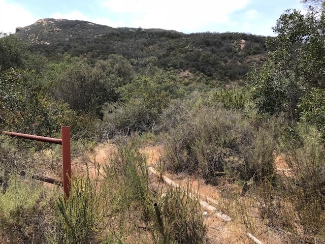 116-acres Lilac Road Pala, CA 92059 - Photo 11 of 17 VIEWS FROM GENTLE AREAS THAT ROLL DOWN TOWARDS SEASONAL CREEK