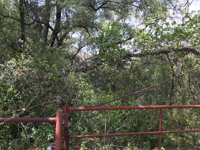 116-acres Lilac Road Pala, CA 92059 - Photo 16 of 17