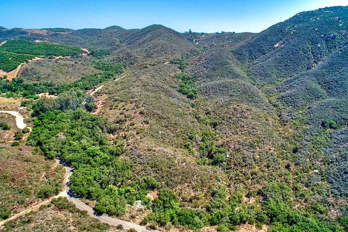 116-acres Lilac Road Pala, CA 92059 - Photo 3 of 17 DIVERSE TYPOGRAPHY AND WILDLIFE