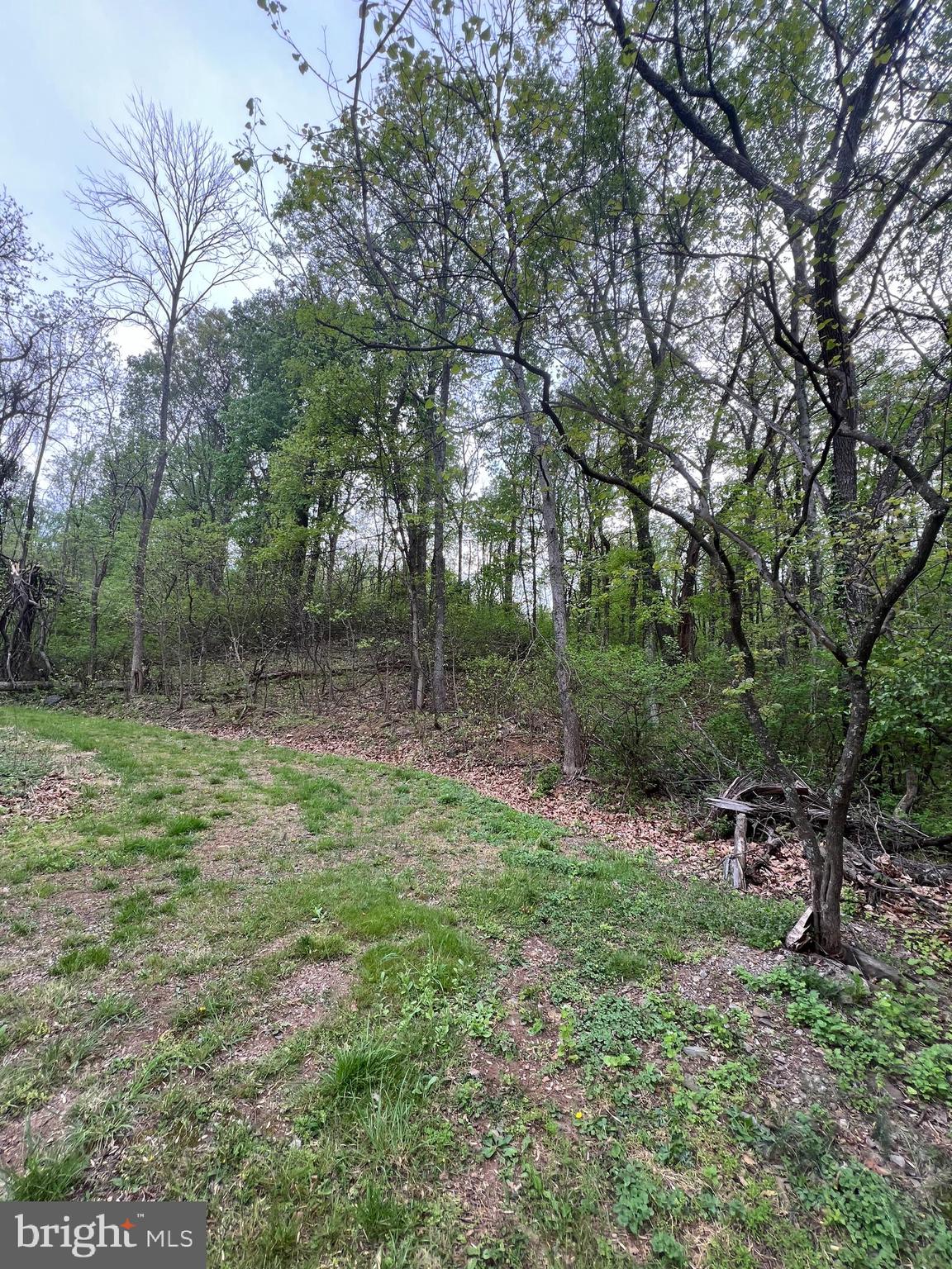 Memory Linden, VA 22642 - Photo 3 of 4 View from pond to potential build site