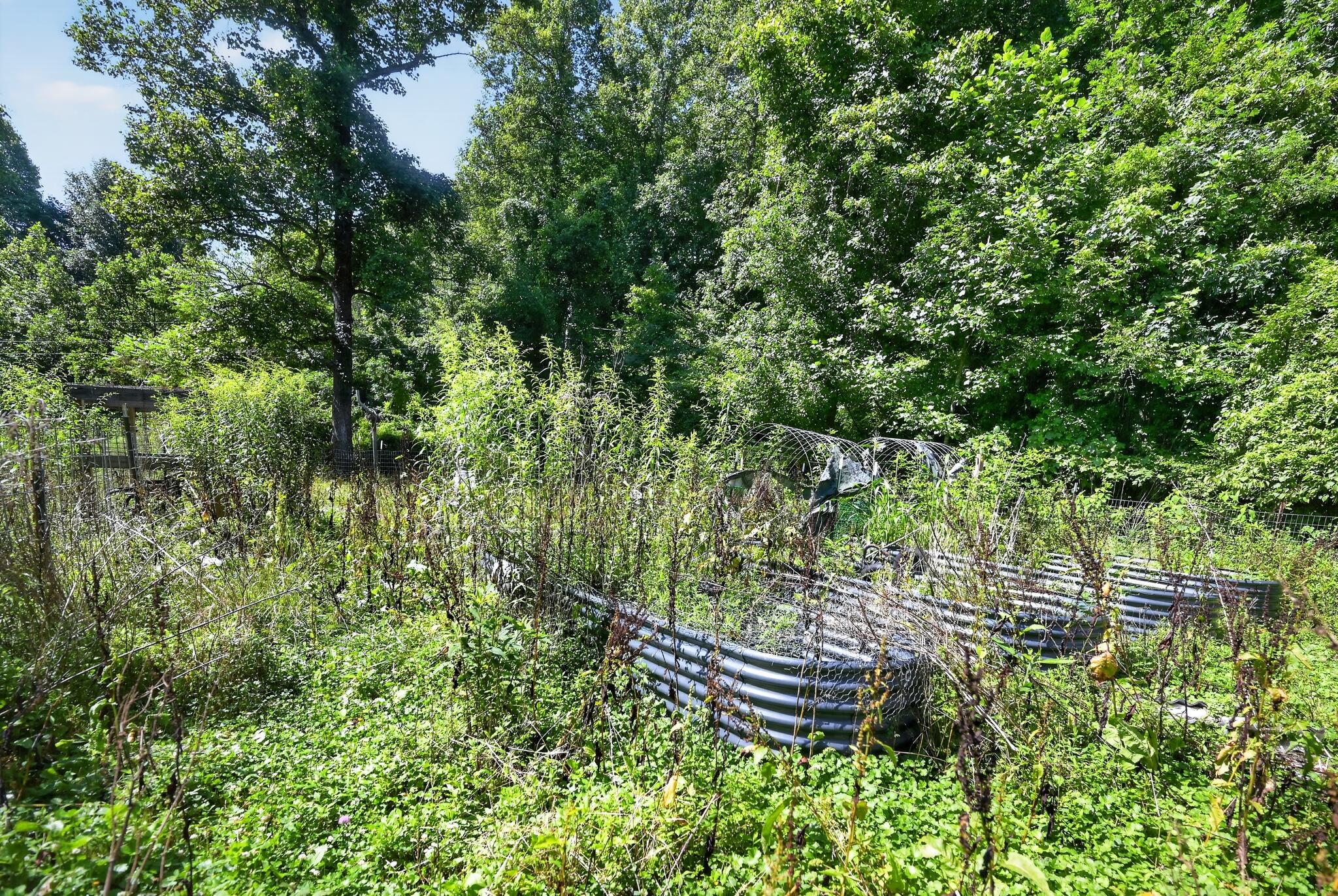 463 Hillman Road Olive Hill, KY 41164 - Photo 21 of 30 14_463_Hillman_Hollow_Rd-1262