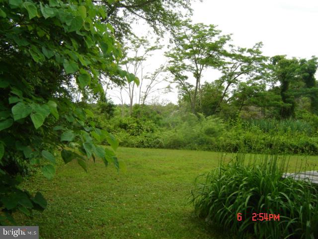1811 Perseus Road Cambridge, MD 21613 - Photo 23 of 52 Side yard