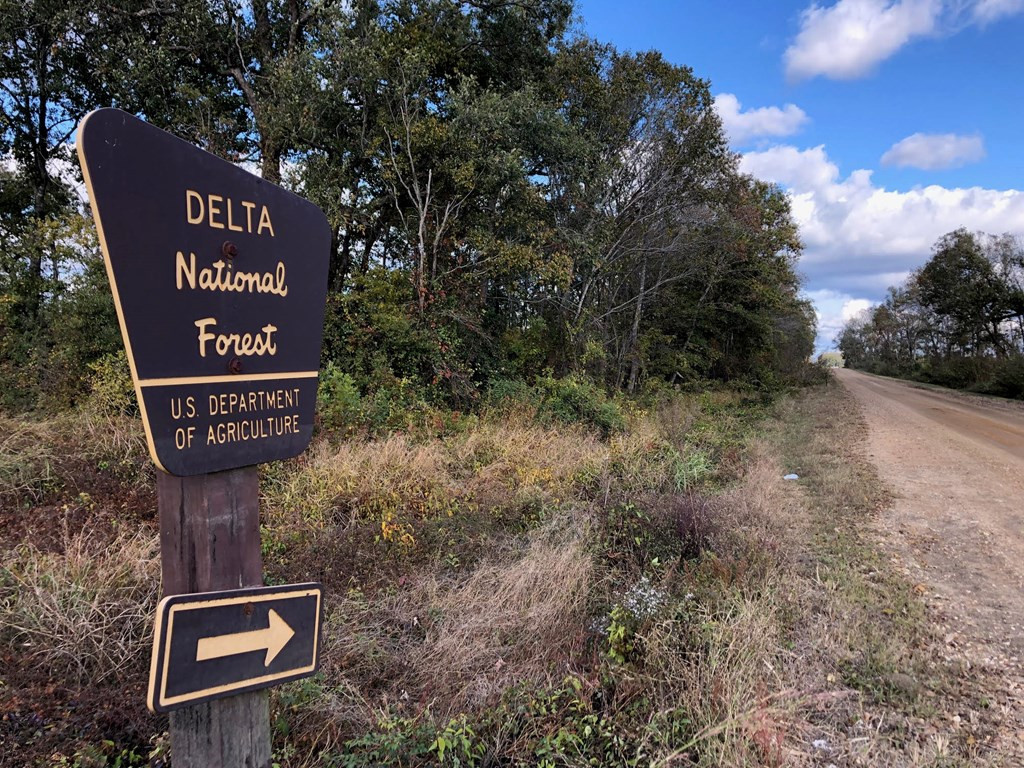 1 Omega Road Rolling Fork, MS 39159 - Photo 4 of 10 Photo 4