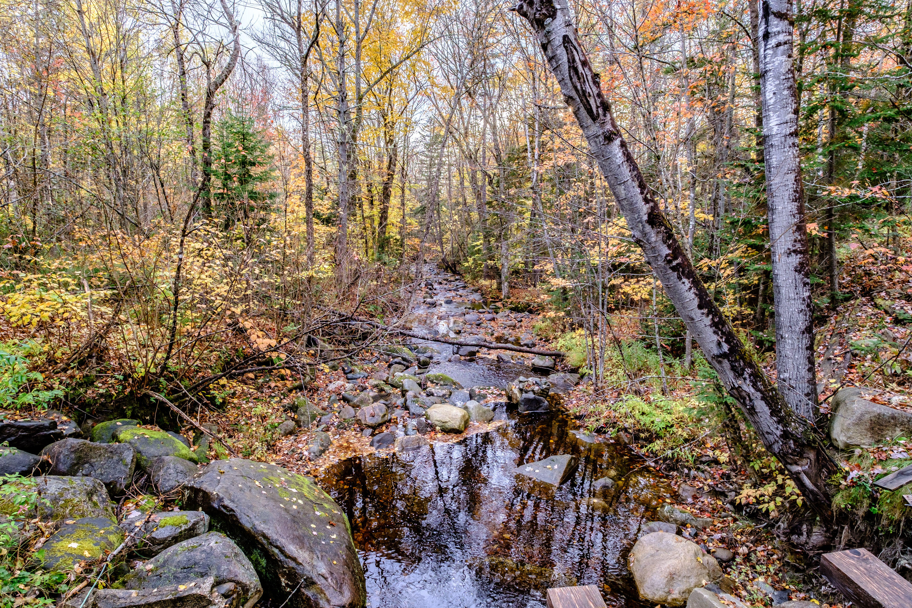 14 Puzzle Mountain Road Newry, ME 04261 - Photo 31 of 33 20241009gp-65002