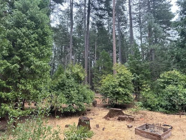 a view of a garden with trees