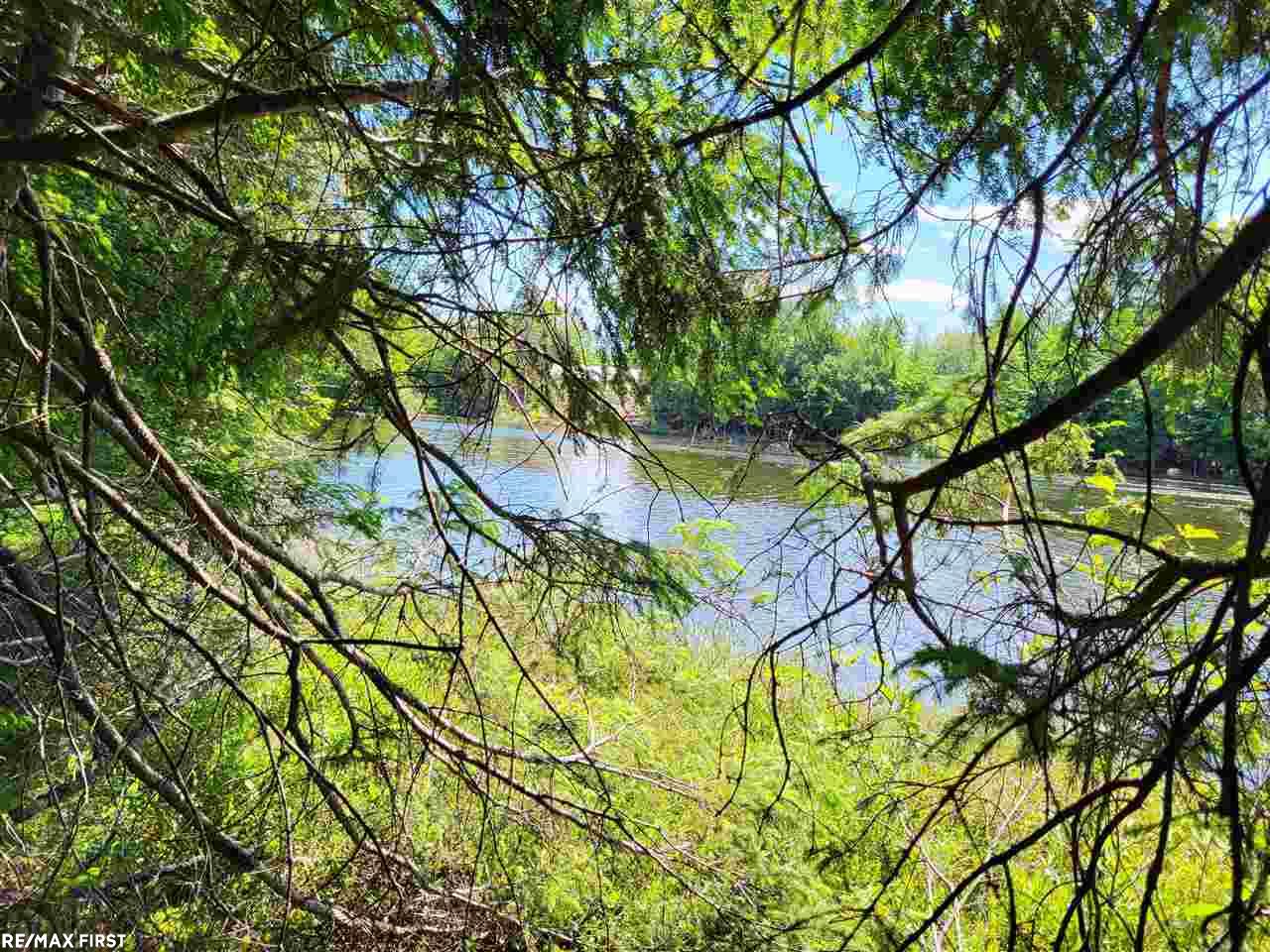 0 Engman Lake Access Road Skandia, MI 49885 - Photo 7 of 17