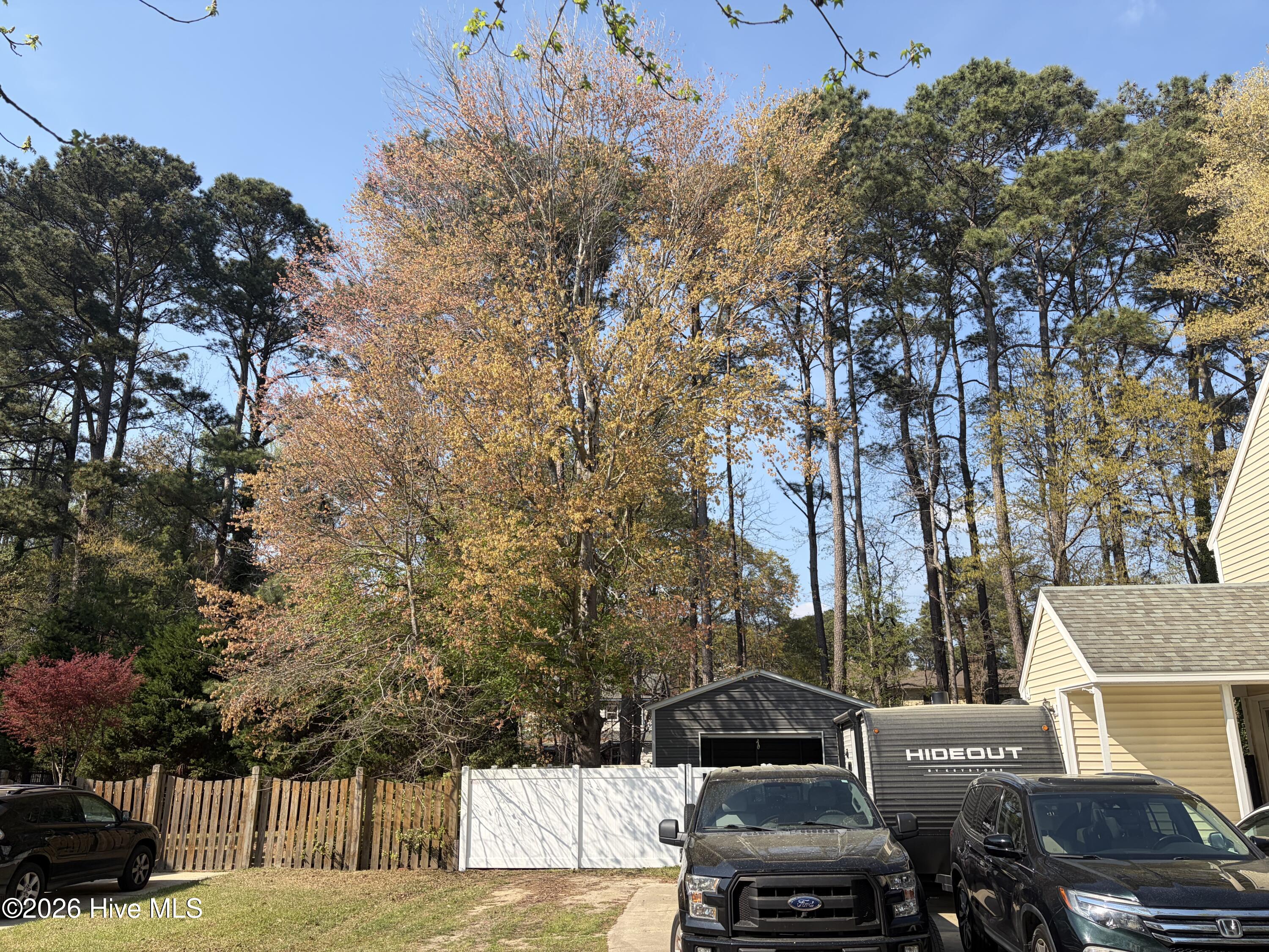 506 Cedarhurst Road Greenville, NC 27834 - Photo 3 of 3 privacy fence, det gar/ shop