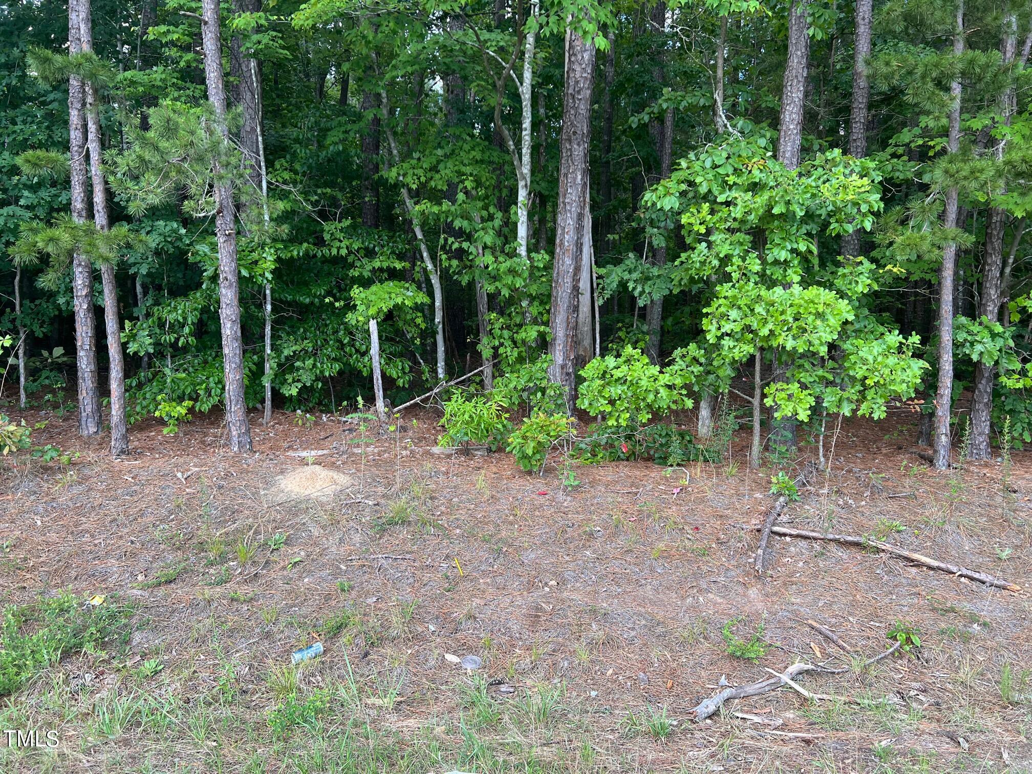 4 A Morgan Road Henderson, NC 27537 - Photo 3 of 7 IMG_7876