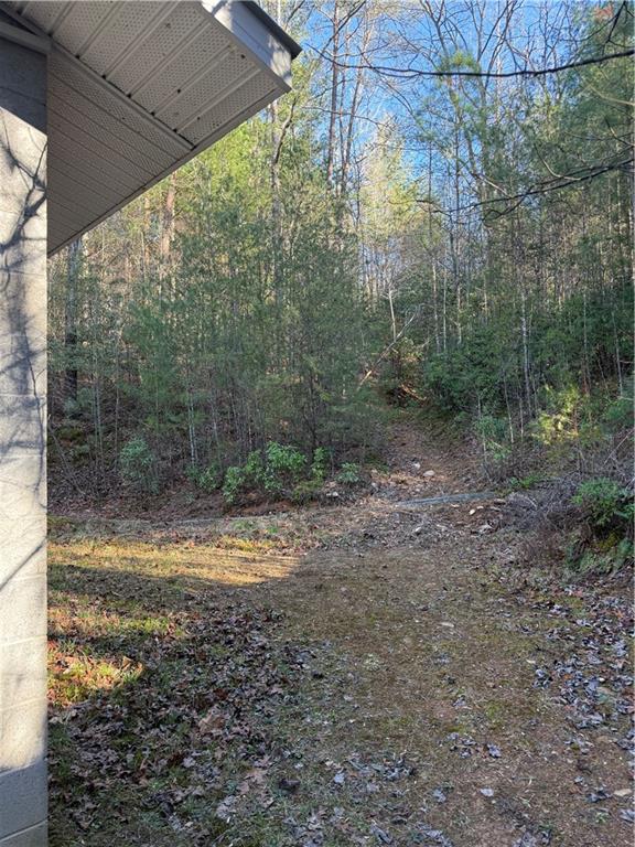 0 Blue Arrow Road Mineral Bluff, GA 30559 - Photo 16 of 20 Gallery Image 16