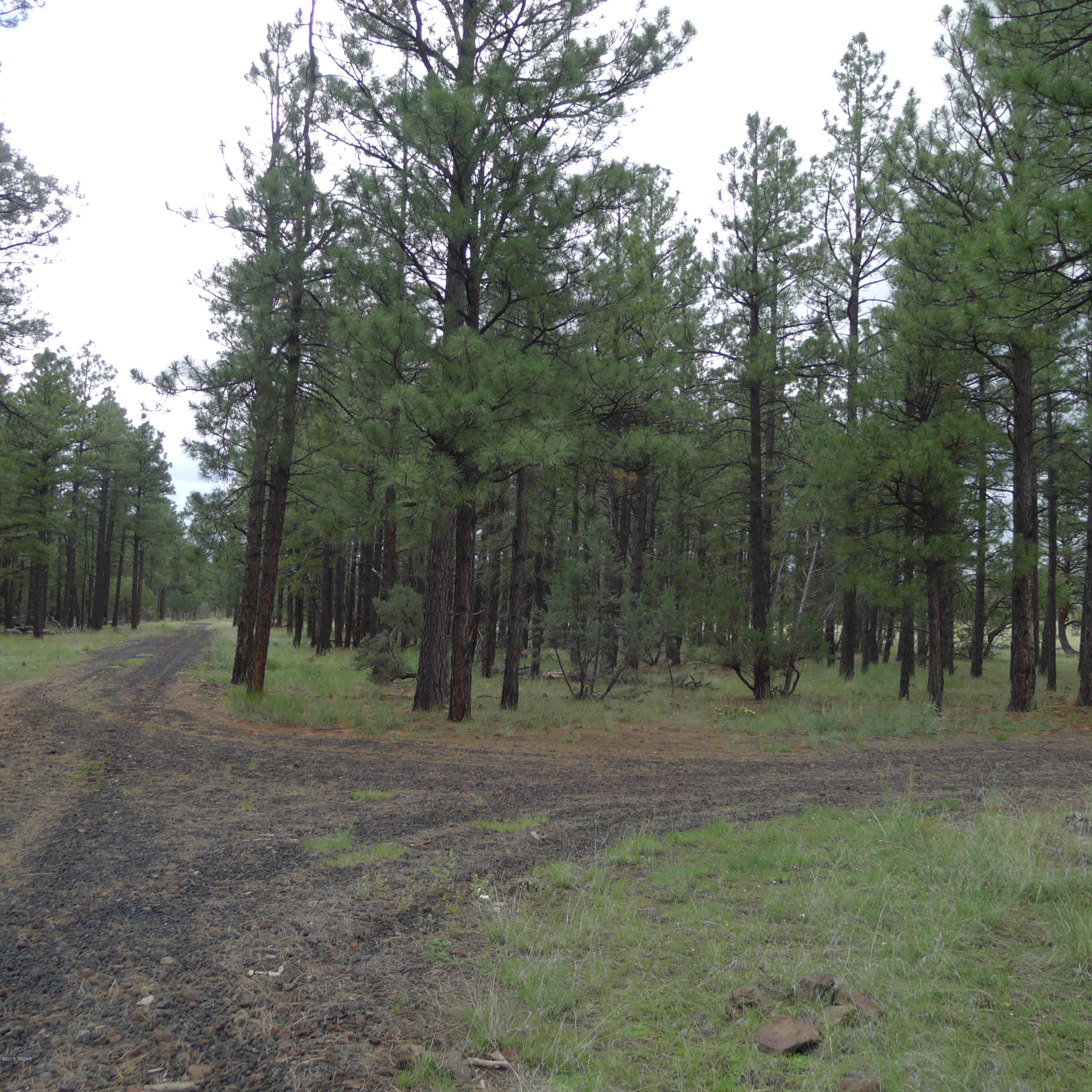 Lot C Thunderhorse Road Pinetop, AZ 85935 - Photo 2 of 3