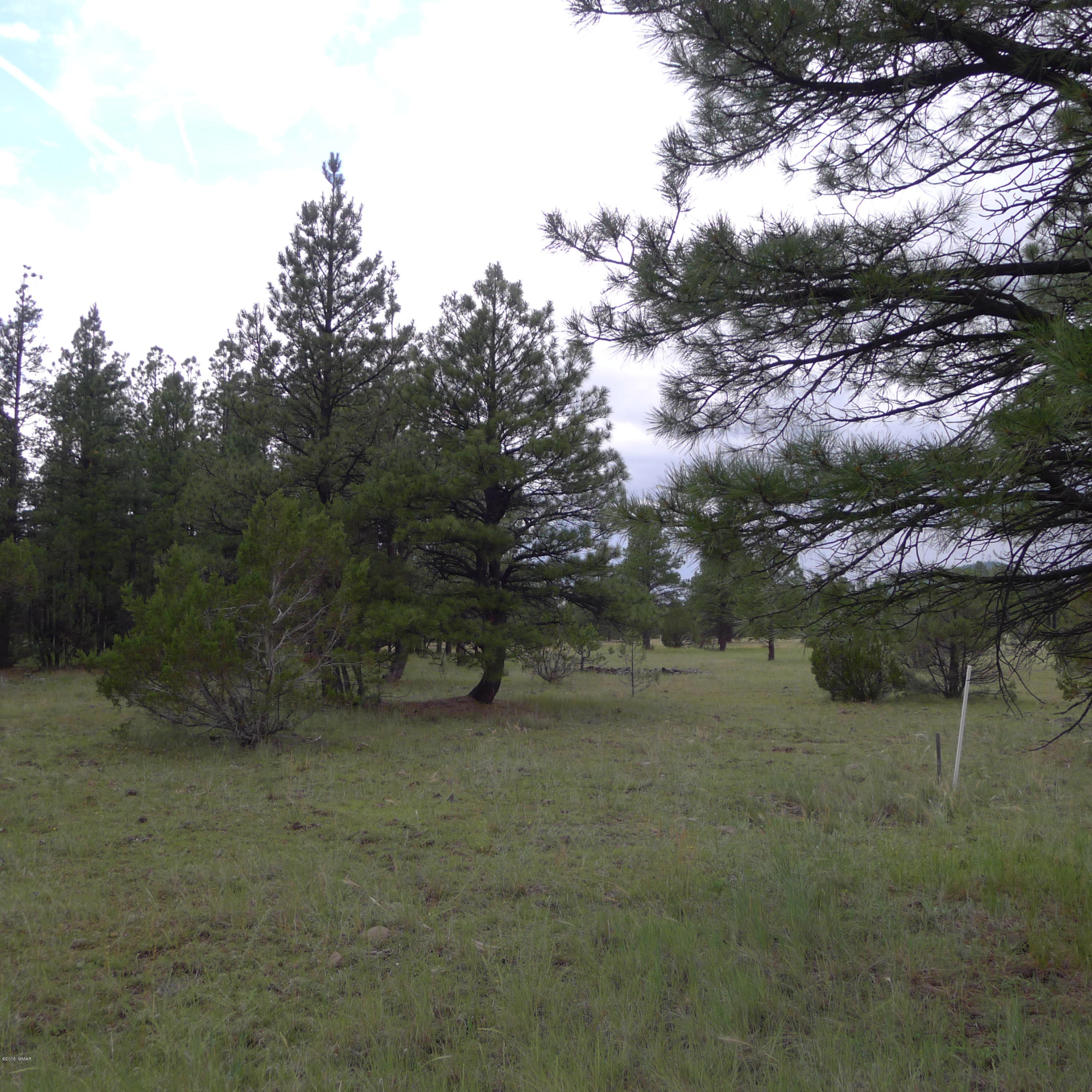 Lot C Thunderhorse Road Pinetop, AZ 85935 - Photo 3 of 3