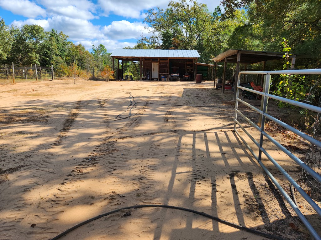 742 County Line Road Buena Vista, GA 31803 - Photo 33 of 74 Barn