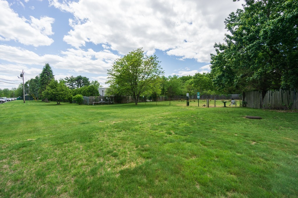 50 Colonial Drive, Unit 8 Andover, MA 01810 - Photo 21 of 25 a view of a park with large trees