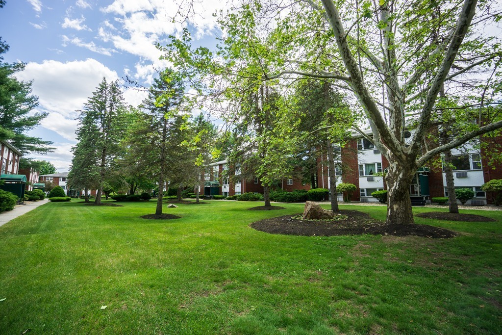 50 Colonial Drive, Unit 8 Andover, MA 01810 - Photo 22 of 25 a huge green field with lots of trees