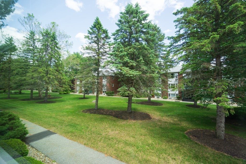 50 Colonial Drive, Unit 8 Andover, MA 01810 - Photo 23 of 25 a view of a park with large trees