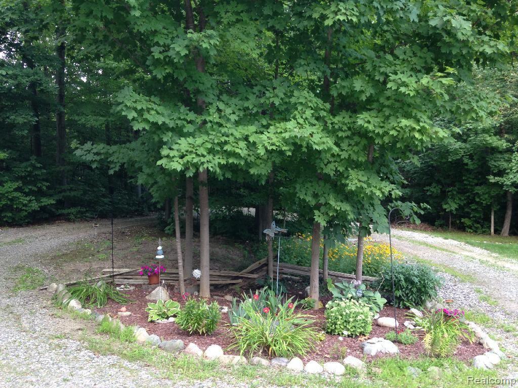 6872 General Squier Road Almont, MI 48003 - Photo 47 of 57 drive & landscaping among the trees